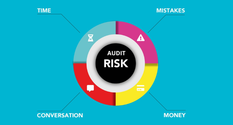 Risk & Audit
